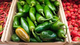 Jalapeño-linked salmonella outbreak sickens 431 people across 32 states